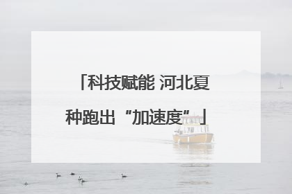 科技赋能 河北夏种跑出“加速度”