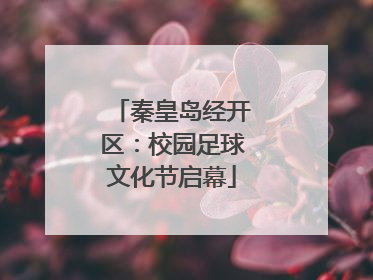 秦皇岛经开区：校园足球文化节启幕