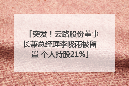 突发！云路股份董事长兼总经理李晓雨被留置 个人持股21%