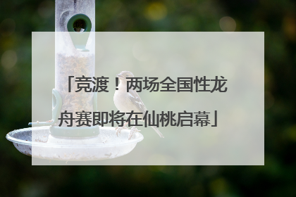 竞渡！两场全国性龙舟赛即将在仙桃启幕