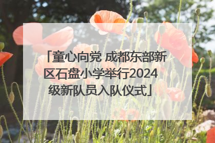 童心向党 成都东部新区石盘小学举行2024级新队员入队仪式