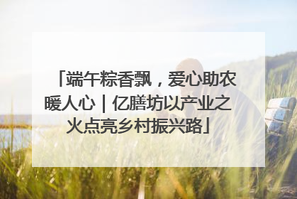 端午粽香飘，爱心助农暖人心｜亿膳坊以产业之火点亮乡村振兴路