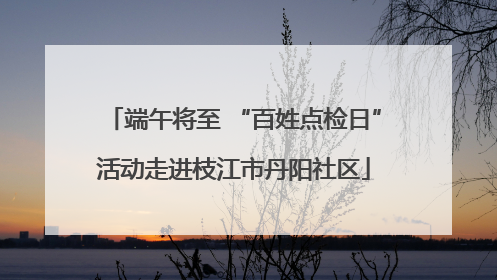端午将至 “百姓点检日”活动走进枝江市丹阳社区