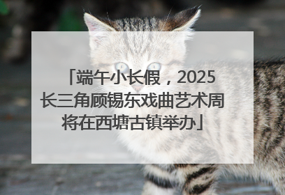 端午小长假，2025长三角顾锡东戏曲艺术周将在西塘古镇举办