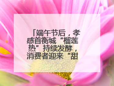 端午节后，孝感首衡城“榴莲热”持续发酵，消费者迎来“甜蜜”囤货期