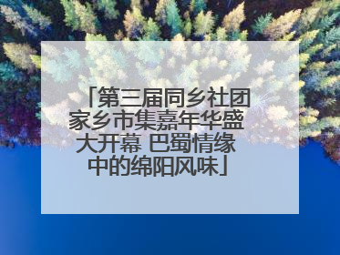 第三届同乡社团家乡市集嘉年华盛大开幕 巴蜀情缘中的绵阳风味