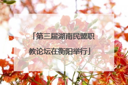 第三届湖南民盟职教论坛在衡阳举行