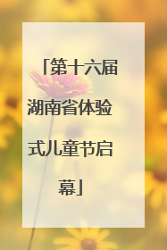 第十六届湖南省体验式儿童节启幕