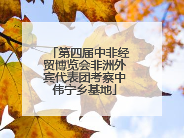 第四届中非经贸博览会非洲外宾代表团考察中伟宁乡基地