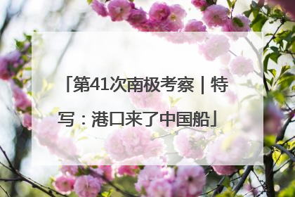 第41次南极考察｜特写：港口来了中国船