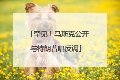 罕见！马斯克公开与特朗普唱反调