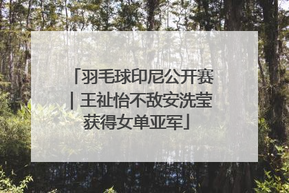 羽毛球印尼公开赛｜王祉怡不敌安洗莹 获得女单亚军