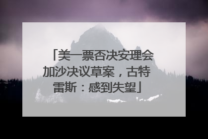美一票否决安理会加沙决议草案，古特雷斯：感到失望