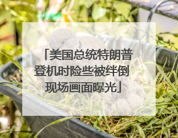 美国总统特朗普登机时险些被绊倒 现场画面曝光