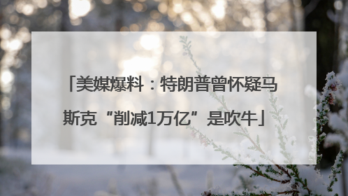 美媒爆料：特朗普曾怀疑马斯克“削减1万亿”是吹牛