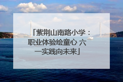 紫荆山南路小学：职业体验绘童心 六一实践向未来