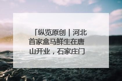 纵览原创｜河北首家盒马鲜生在唐山开业，石家庄门店预计8月开业