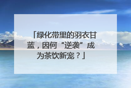 绿化带里的羽衣甘蓝，因何“逆袭”成为茶饮新宠？