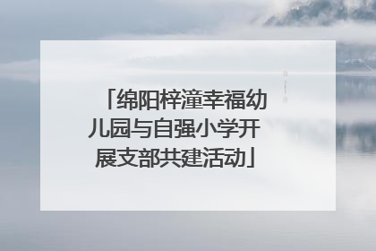 绵阳梓潼幸福幼儿园与自强小学开展支部共建活动
