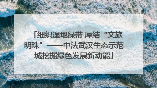 细织湿地绿带 厚结“文旅明珠”——中法武汉生态示范城挖掘绿色发展新动能