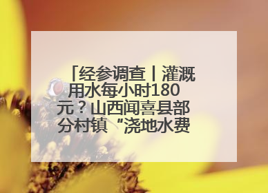 经参调查丨灌溉用水每小时180元？山西闻喜县部分村镇“浇地水费过高”调查