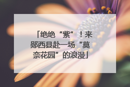 绝绝“紫”！来郧西县赴一场“莫奈花园”的浪漫
