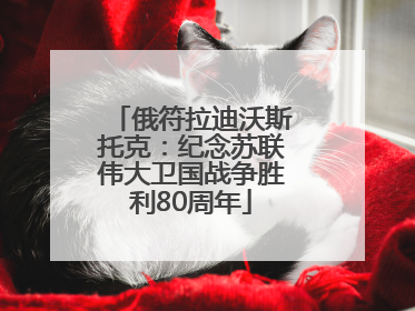 俄符拉迪沃斯托克：纪念苏联伟大卫国战争胜利80周年