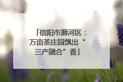 信阳市浉河区：万亩茶庄园飘出“三产融合”香