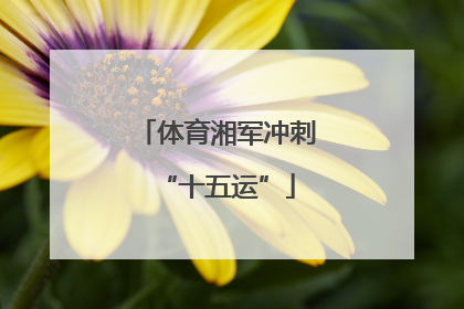 体育湘军冲刺“十五运”