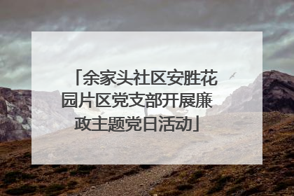余家头社区安胜花园片区党支部开展廉政主题党日活动