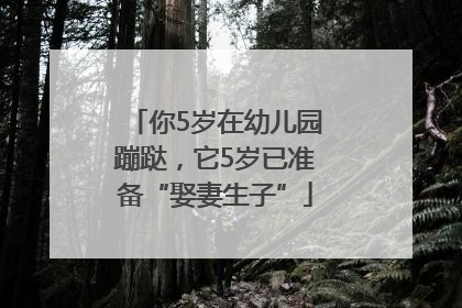 你5岁在幼儿园蹦跶，它5岁已准备“娶妻生子”