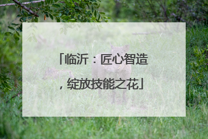 临沂：匠心智造，绽放技能之花