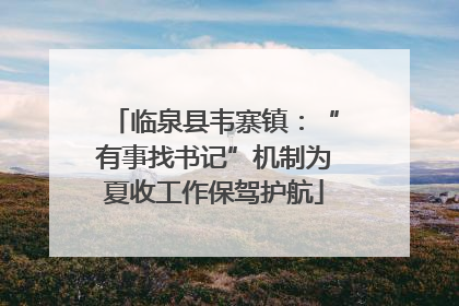 临泉县韦寨镇：“有事找书记”机制为夏收工作保驾护航