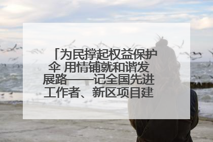 为民撑起权益保护伞 用情铺就和谐发展路——记全国先进工作者、新区项目建设中心干部卢小勇
