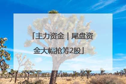 主力资金｜尾盘资金大幅抢筹2股
