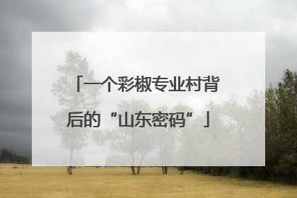 一个彩椒专业村背后的“山东密码”