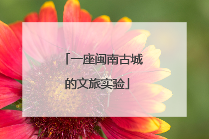 一座闽南古城的文旅实验