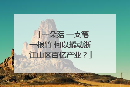 一朵菇 一支笔 一根竹 何以撬动浙江山区百亿产业？