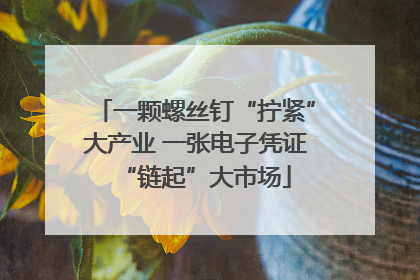 一颗螺丝钉“拧紧”大产业 一张电子凭证“链起”大市场