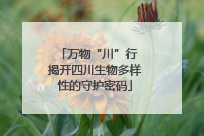 万物“川”行 揭开四川生物多样性的守护密码