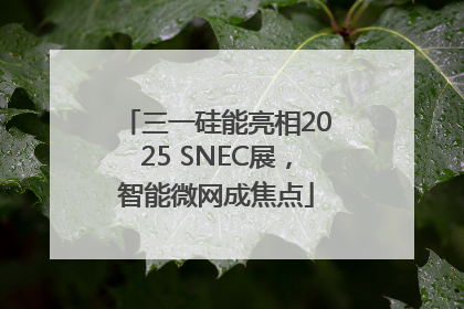三一硅能亮相2025 SNEC展，智能微网成焦点