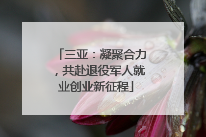 三亚：凝聚合力，共赴退役军人就业创业新征程