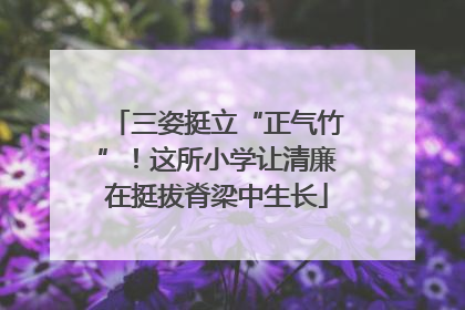 三姿挺立“正气竹”！这所小学让清廉在挺拔脊梁中生长
