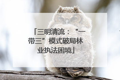 三明清流：“一带三”模式破局林业执法困境