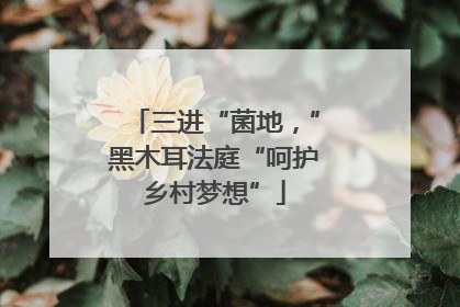 三进“菌地，”黑木耳法庭“呵护乡村梦想”