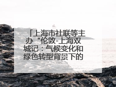 上海市社联等主办“伦敦-上海双城记：气候变化和绿色转型背景下的考古、历史和文化遗产”学术对话