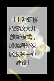 上海虹桥持续放大开放新模式，加强海外发展服务中心建设
