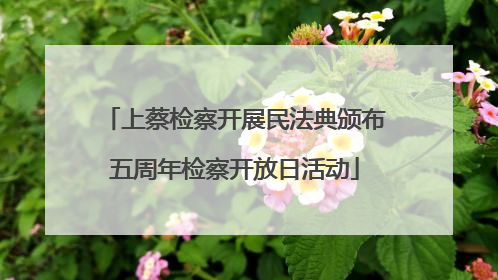 上蔡检察开展民法典颁布五周年检察开放日活动