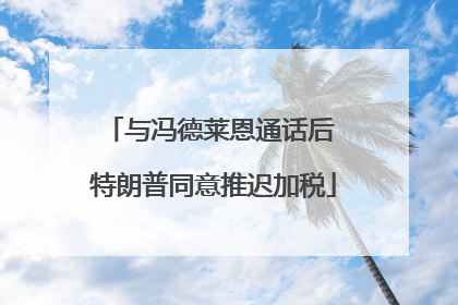 与冯德莱恩通话后 特朗普同意推迟加税