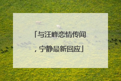 与汪峰恋情传闻，宁静最新回应